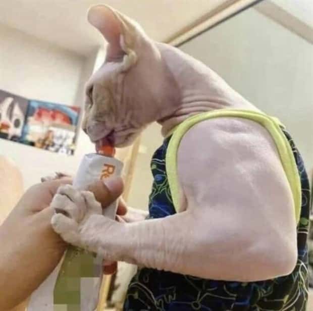 Klyker Picdump #1905 (45 photos)