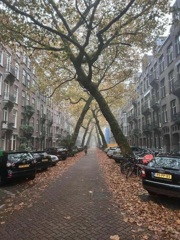 Klyker Picdump #1905 (45 photos)