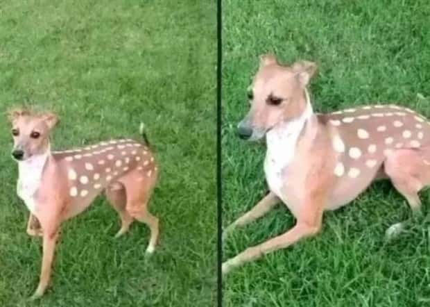 Klyker Picdump #1905 (45 photos)