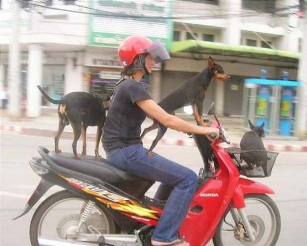 Klyker Picdump #1909 (44 photos)