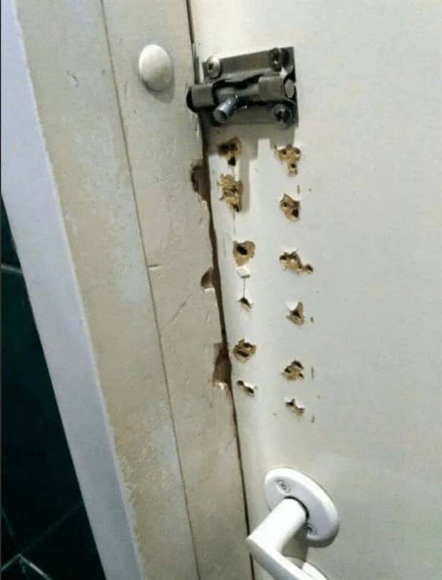 Klyker Picdump #1909 (44 photos)