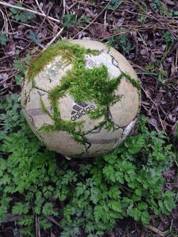 Klyker Picdump #1909 (44 photos)