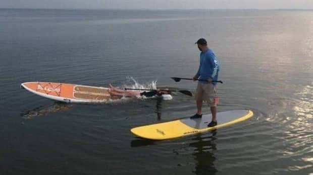 Klyker Picdump #1891 (41 photos)