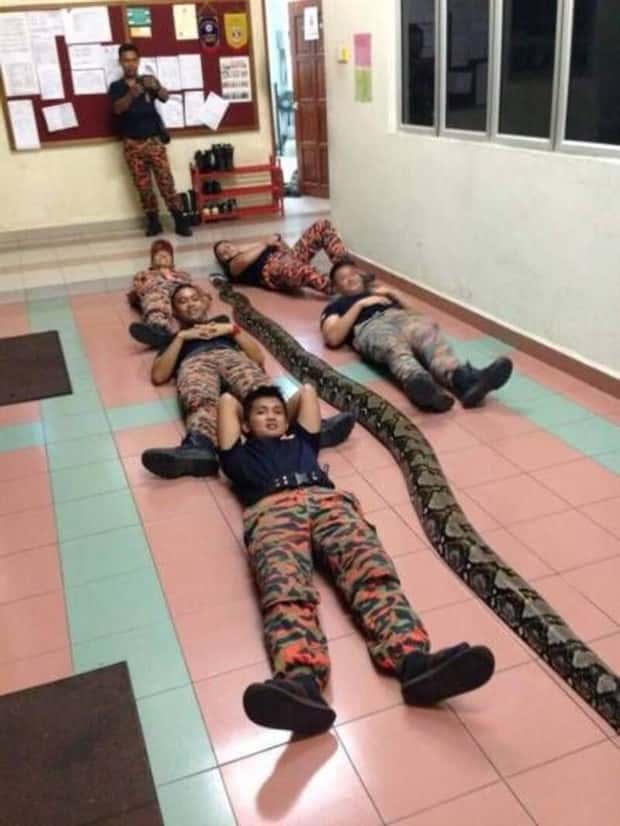 Klyker Picdump #1891 (41 photos)