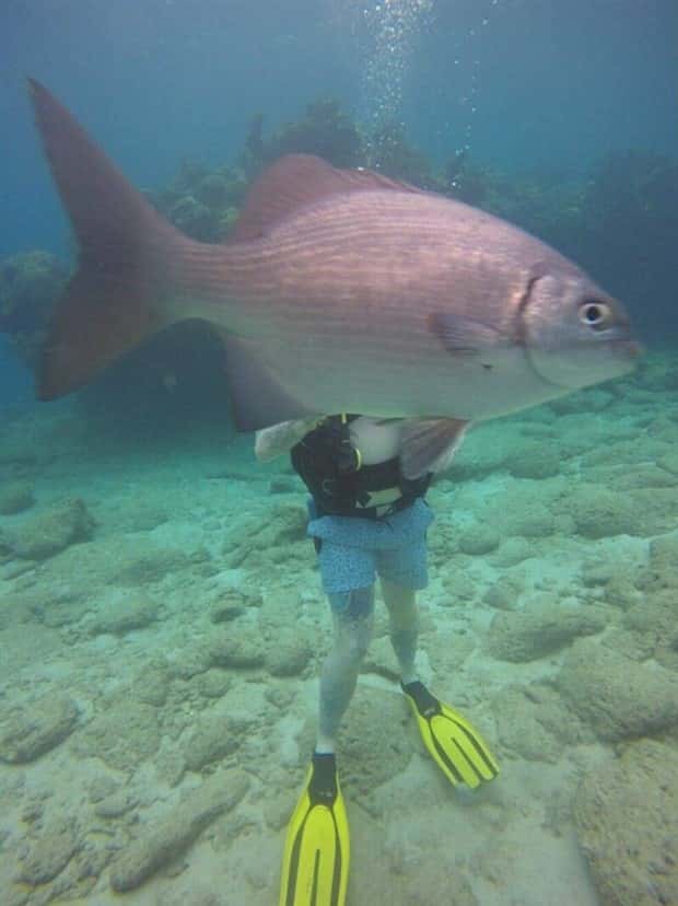 Klyker Picdump #1891 (41 photos)