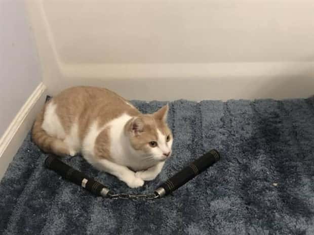 Klyker Picdump #1893 (43 photos)