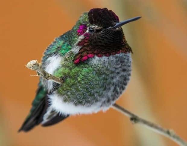 Klyker Picdump #1893 (43 photos)