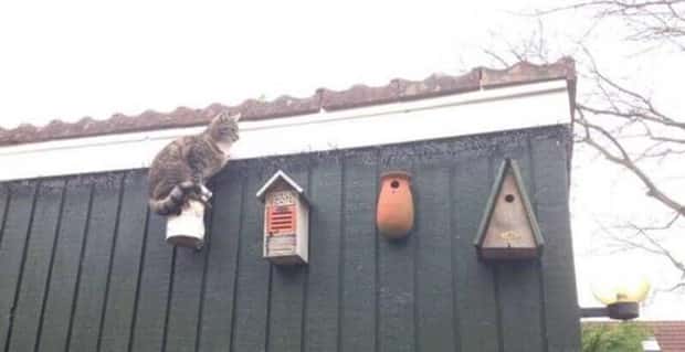 Klyker Picdump #1893 (43 photos)