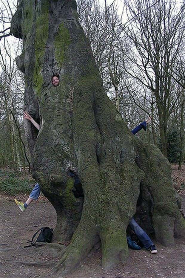 klyker picdump 1 8 2026 12 Klyker Picdump #1894 (44 photos)