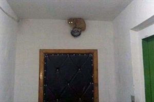 Klyker Picdump #1894 (44 photos)