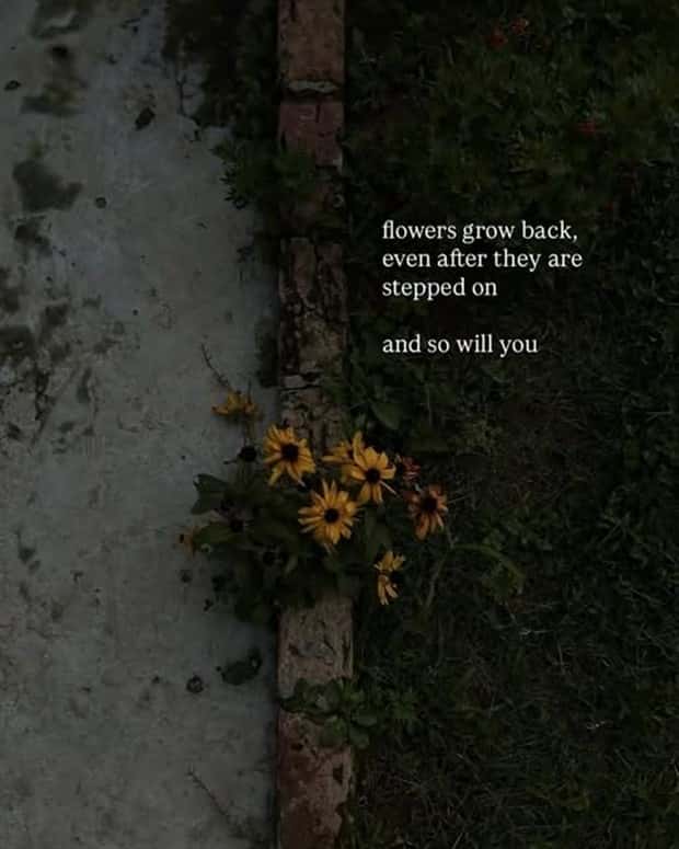 Motivational Quotes, Because It’s Monday #189 (23 photos)