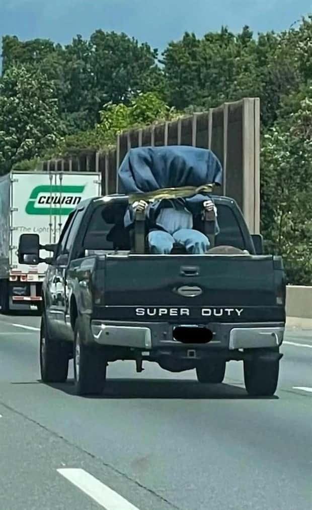 Overloaded Cars Driven With Pure Confidence (32 photos)