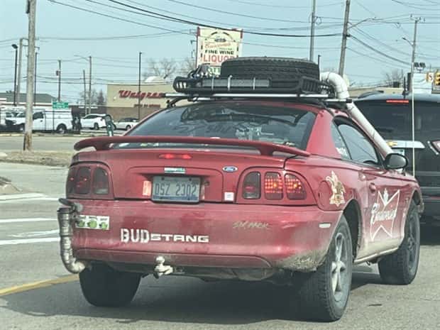 Overloaded Cars Driven With Pure Confidence (32 photos)