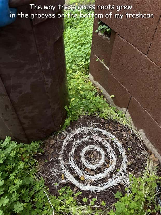 pics with captions 1 Interesting Pictures with Captions #188 (17 photos)