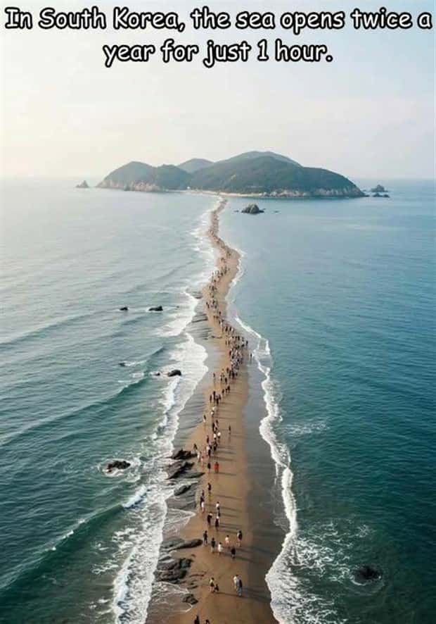 pics with captions 10 Interesting Pictures with Captions #188 (17 photos)