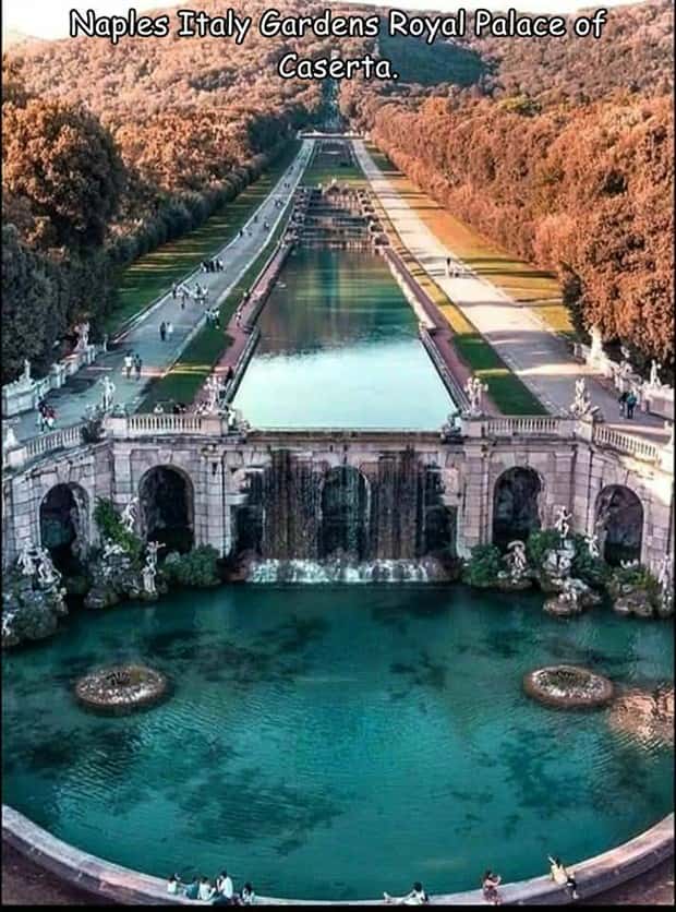 pics with captions 14 Interesting Pictures with Captions #188 (17 photos)