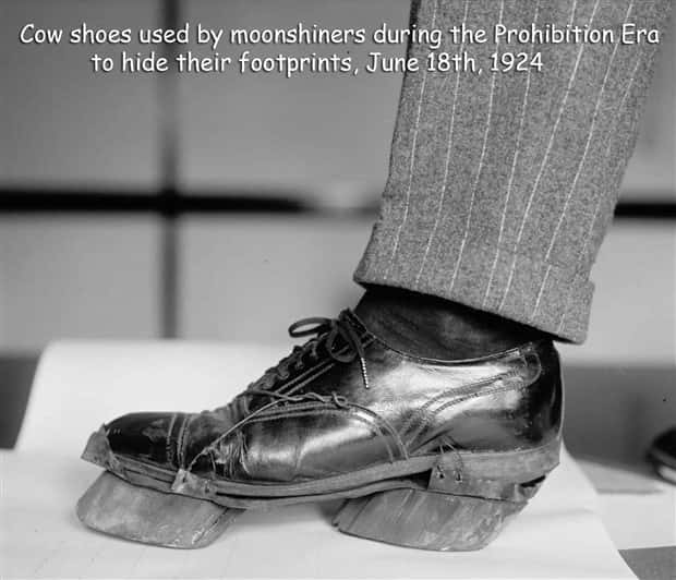 pics with captions 4 Interesting Pictures with Captions #188 (17 photos)