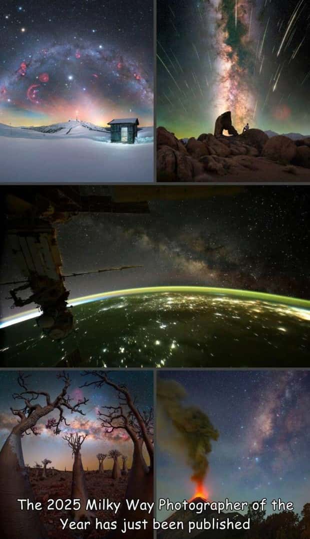 pics with captions 9 Interesting Pictures with Captions #188 (17 photos)