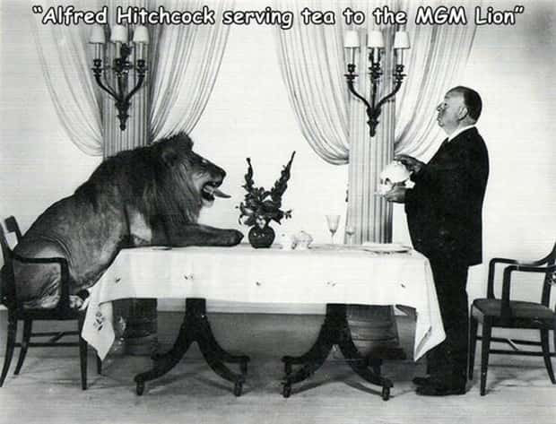 pictures with captions 10 2 Interesting Pictures with Captions #191 (20 photos)