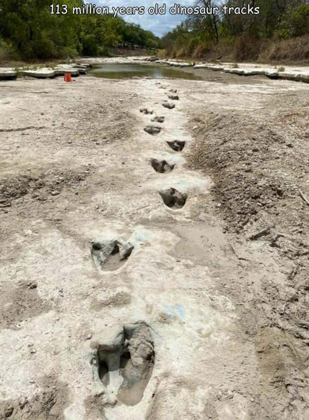 Interesting Pictures with Captions #189 (19 photos)