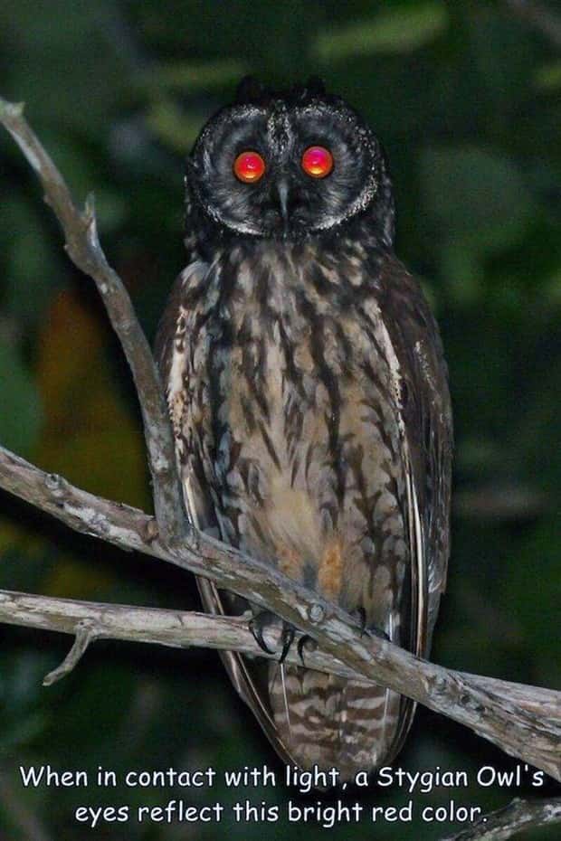 pictures with captions 14 2 Interesting Pictures with Captions #191 (20 photos)