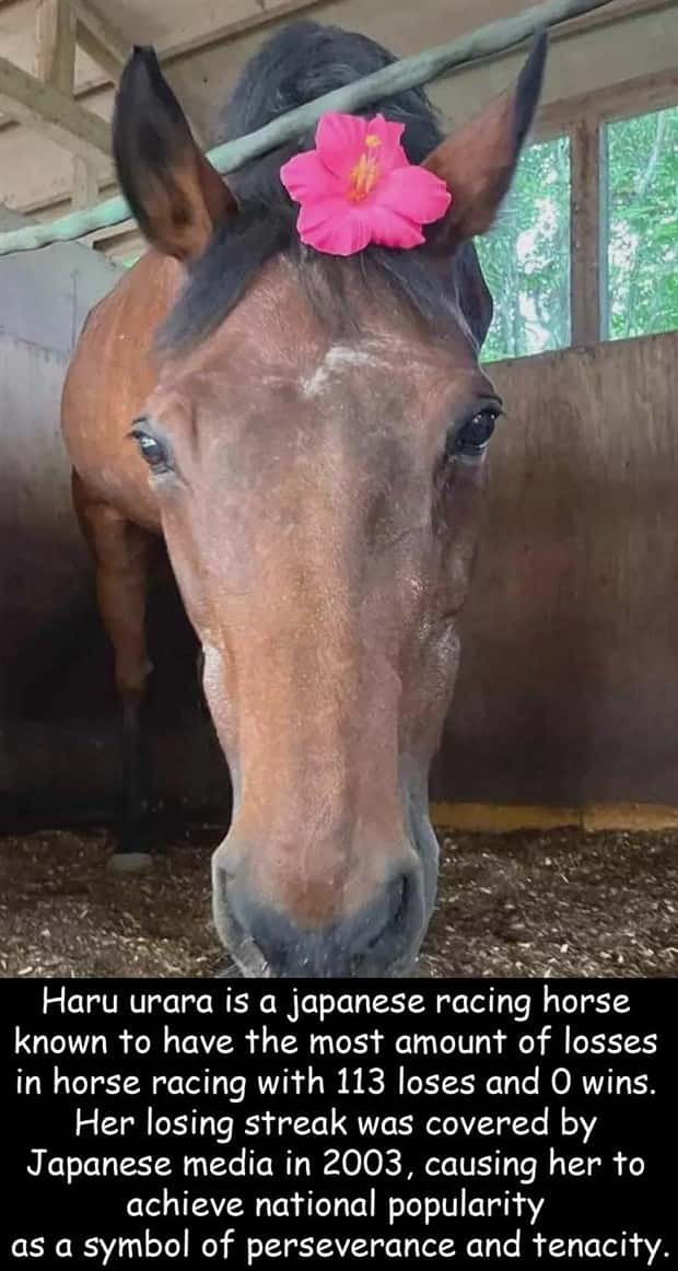 Interesting Pictures with Captions #190 (22 photos)