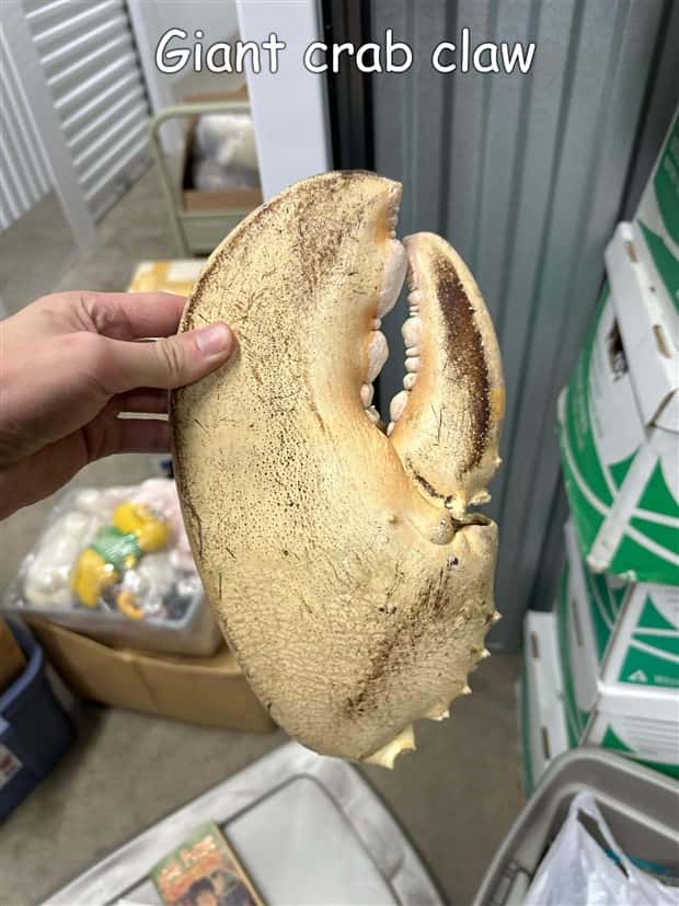 pictures with captions 18 2 Interesting Pictures with Captions #191 (20 photos)