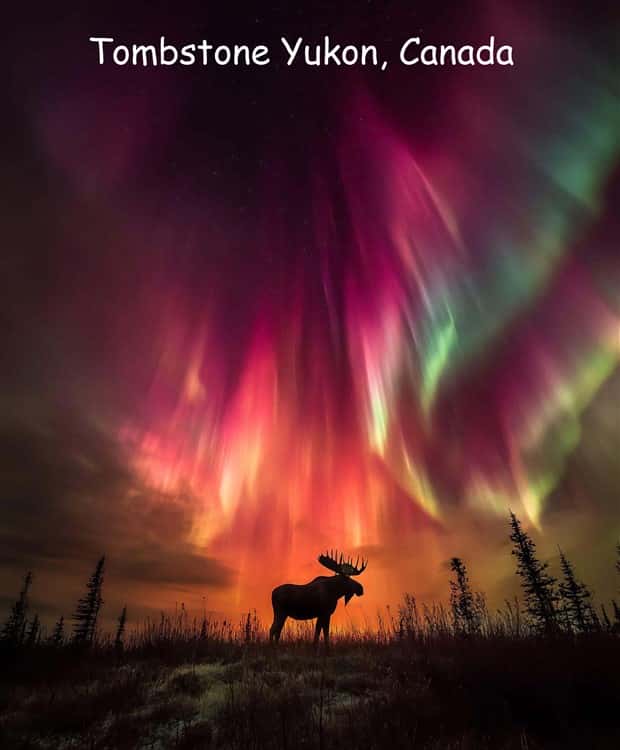 pictures with captions 19 2 Interesting Pictures with Captions #191 (20 photos)