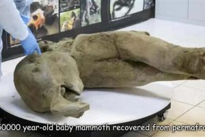 Interesting Pictures with Captions #191 (20 photos)