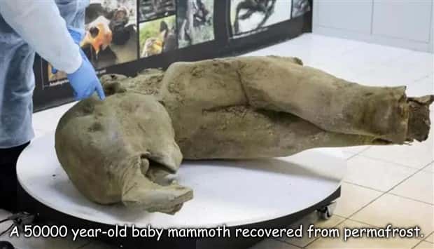 pictures with captions 2 2 Interesting Pictures with Captions #191 (20 photos)