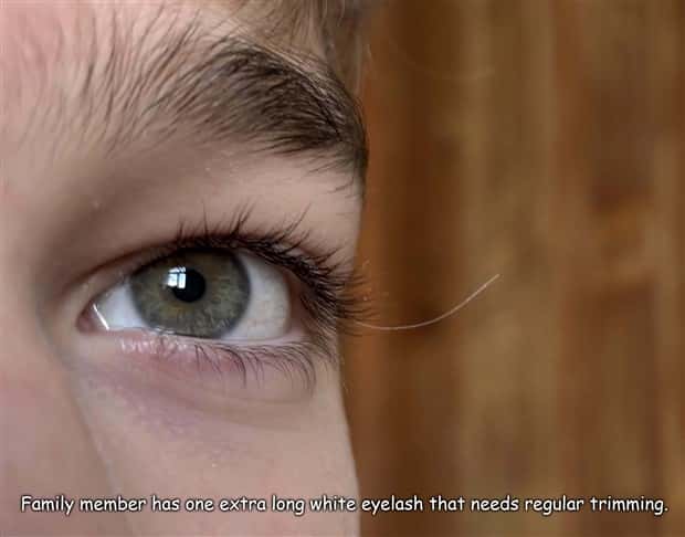 Interesting Pictures with Captions #189 (19 photos)