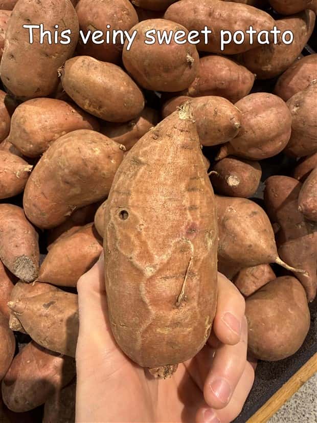 pictures with captions 20 1 Interesting Pictures with Captions #191 (20 photos)