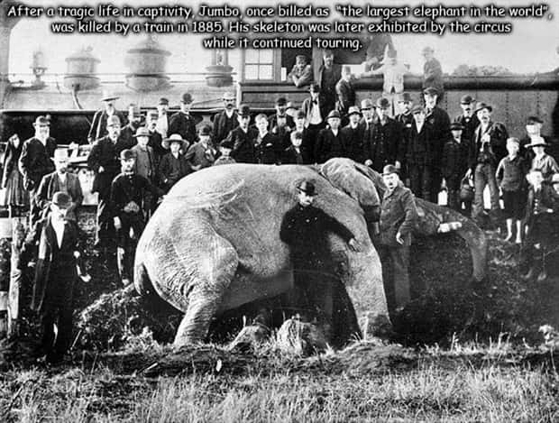 Interesting Pictures with Captions #190 (22 photos)