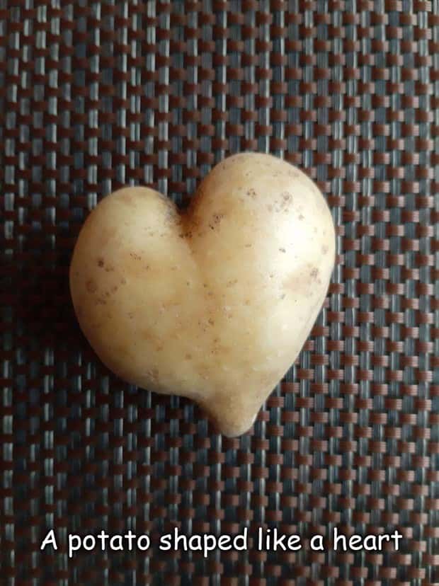 pictures with captions 4 2 Interesting Pictures with Captions #191 (20 photos)