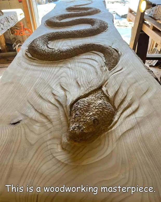 pictures with captions 5 2 Interesting Pictures with Captions #191 (20 photos)