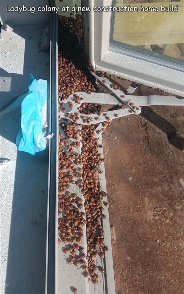 Interesting Pictures with Captions #190 (22 photos)