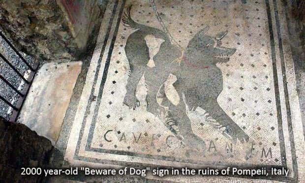 pictures with captions 6 2 Interesting Pictures with Captions #191 (20 photos)