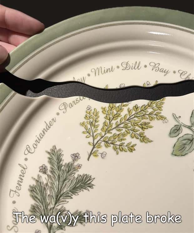 Interesting Pictures with Captions #190 (22 photos)