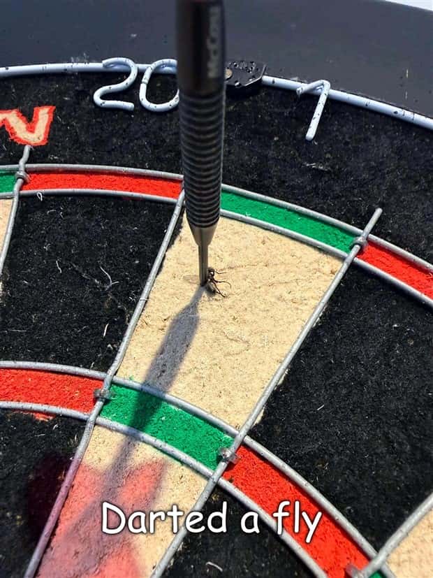 pictures with captions 8 2 Interesting Pictures with Captions #191 (20 photos)