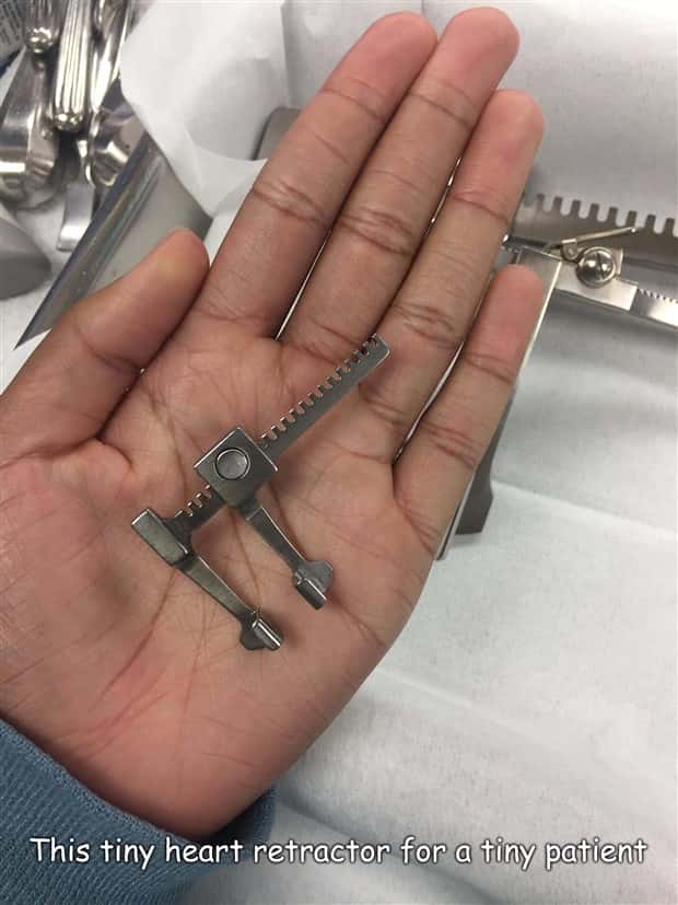 pictures with captions 9 2 Interesting Pictures with Captions #191 (20 photos)