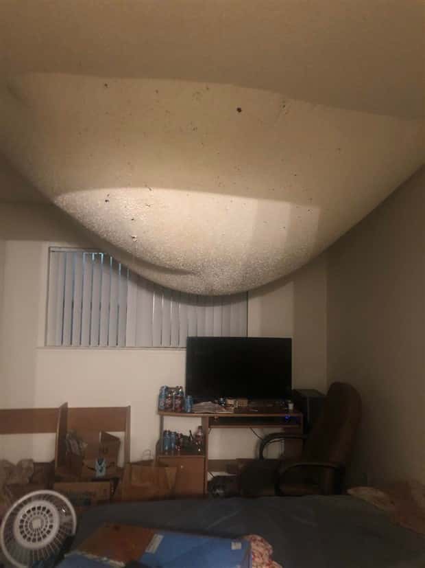 Shit Happens Regularly, Get Used To It #365 (24 photos)