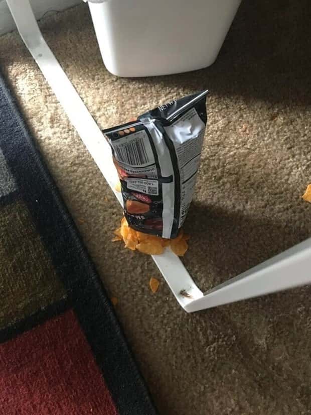 Shit Happens Regularly, Get Used To It #365 (24 photos)