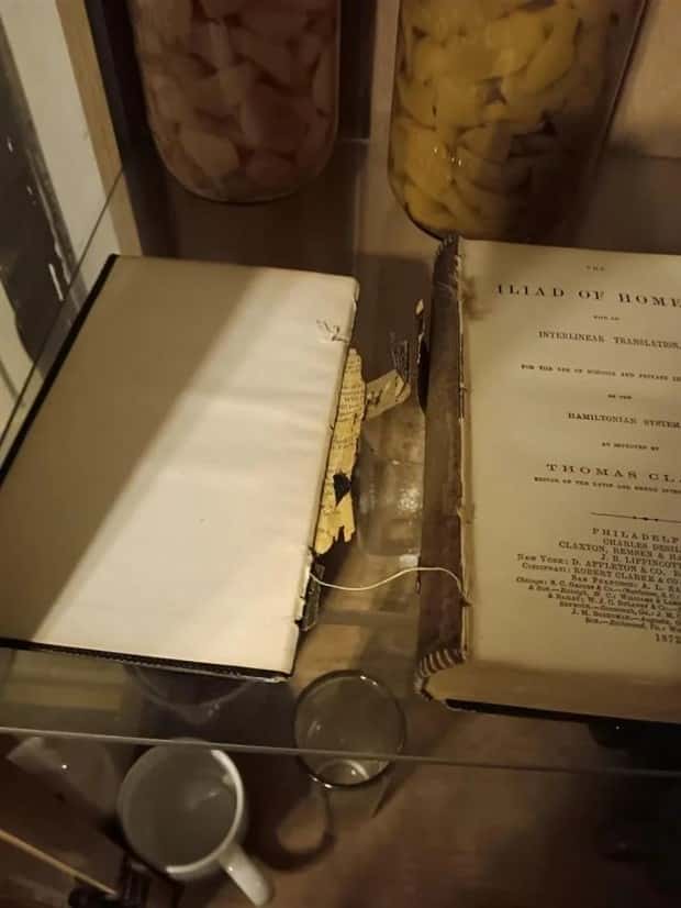 Shit Happens Regularly, Get Used To It #362 (25 photos)