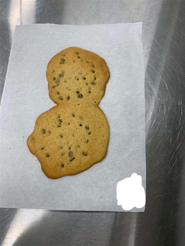 Shit Happens Regularly, Get Used To It #365 (24 photos)