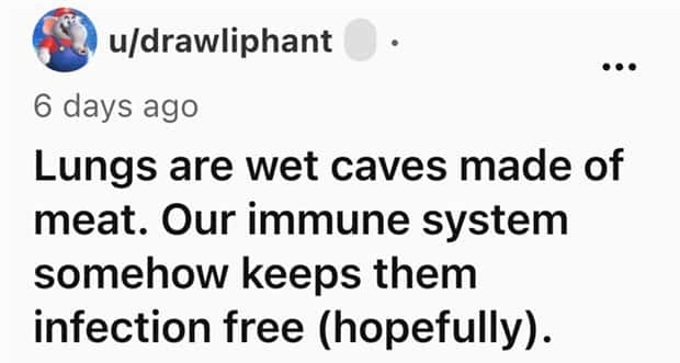 Funny Shower Thoughts That Sound Smart #191 (21 photos)