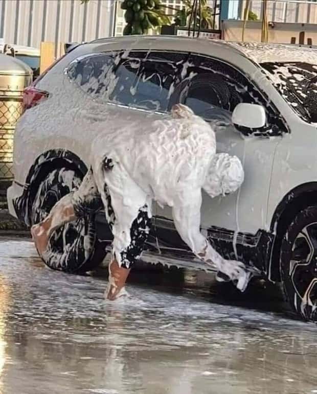 Welcome to the Weird Side of the Internet #204 (22 photos)