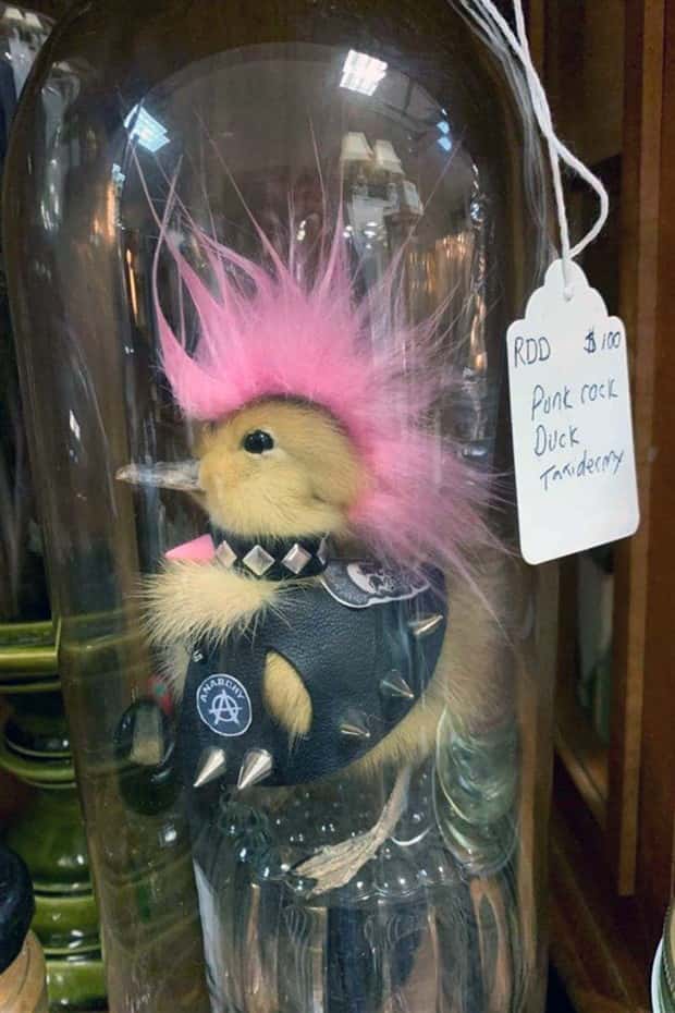 Welcome to the Weird Side of the Internet #204 (22 photos)