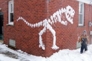 Cool Picture Parade DCCCXCVIII