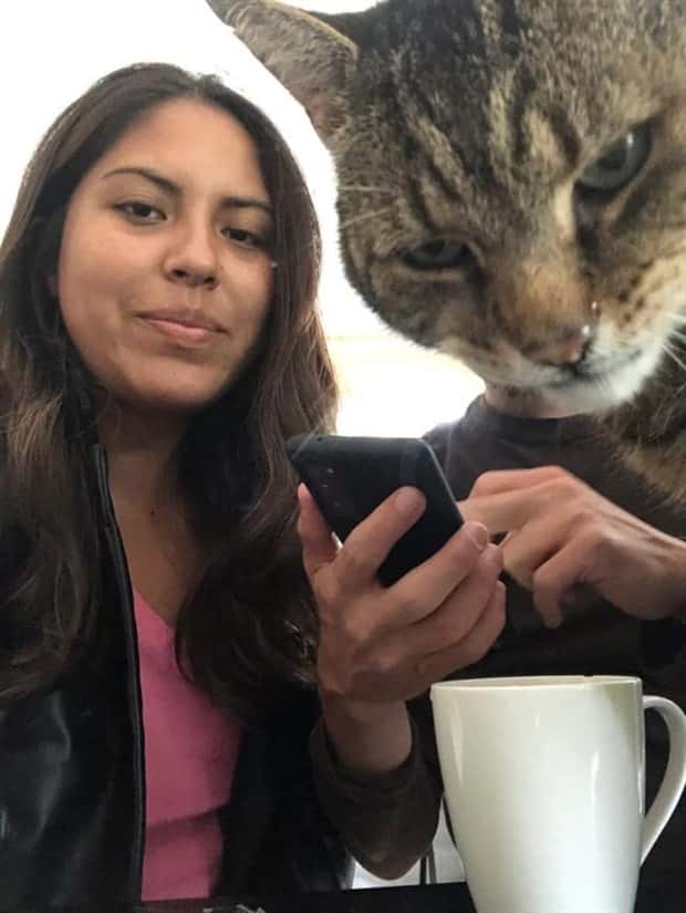 When Animals Master The Photobomb Game (25 photos)