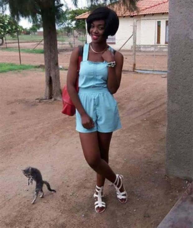 When Animals Master The Photobomb Game (25 photos)